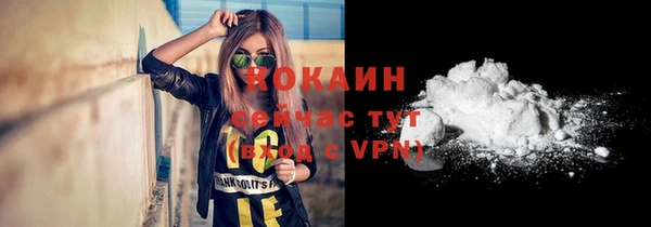 2c-b Гусев