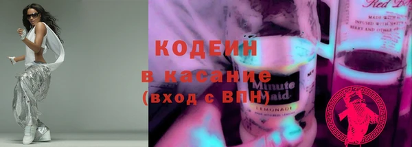 2c-b Гусев