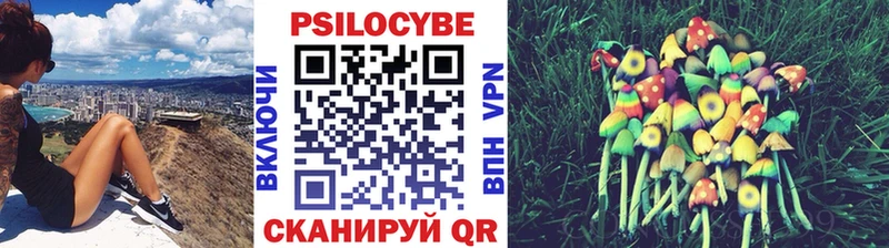 Псилоцибиновые грибы ЛСД  Купить где  Семёнов 